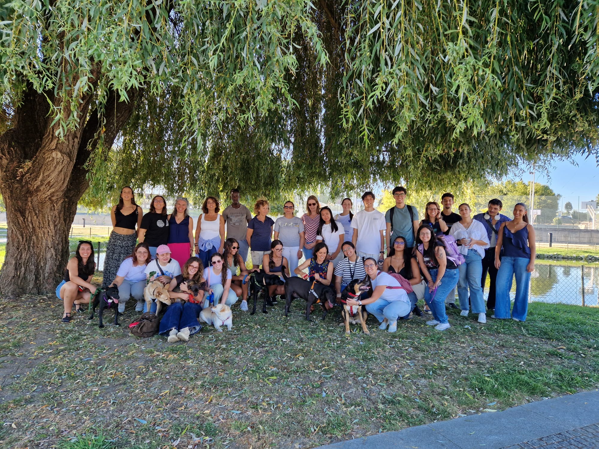 EcoCampus ESTGV organiza cãominhada solidária